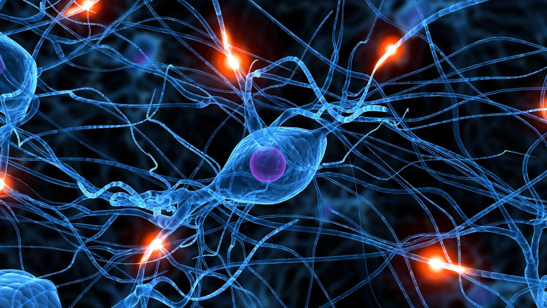 Conjunto de neuronas Conjunto de neuronas