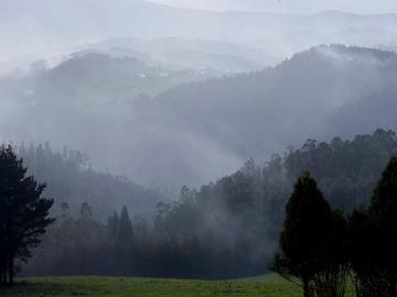 Incendios forestales 