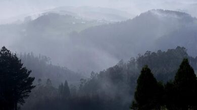 Las pérdidas por los incendios de diciembre en Asturias ascienden a 12 millones de euros