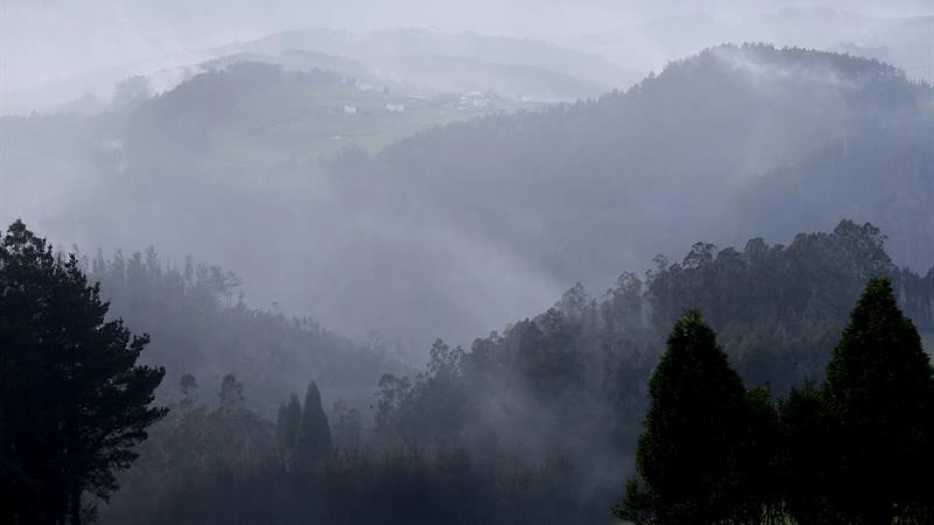 Incendios forestales 