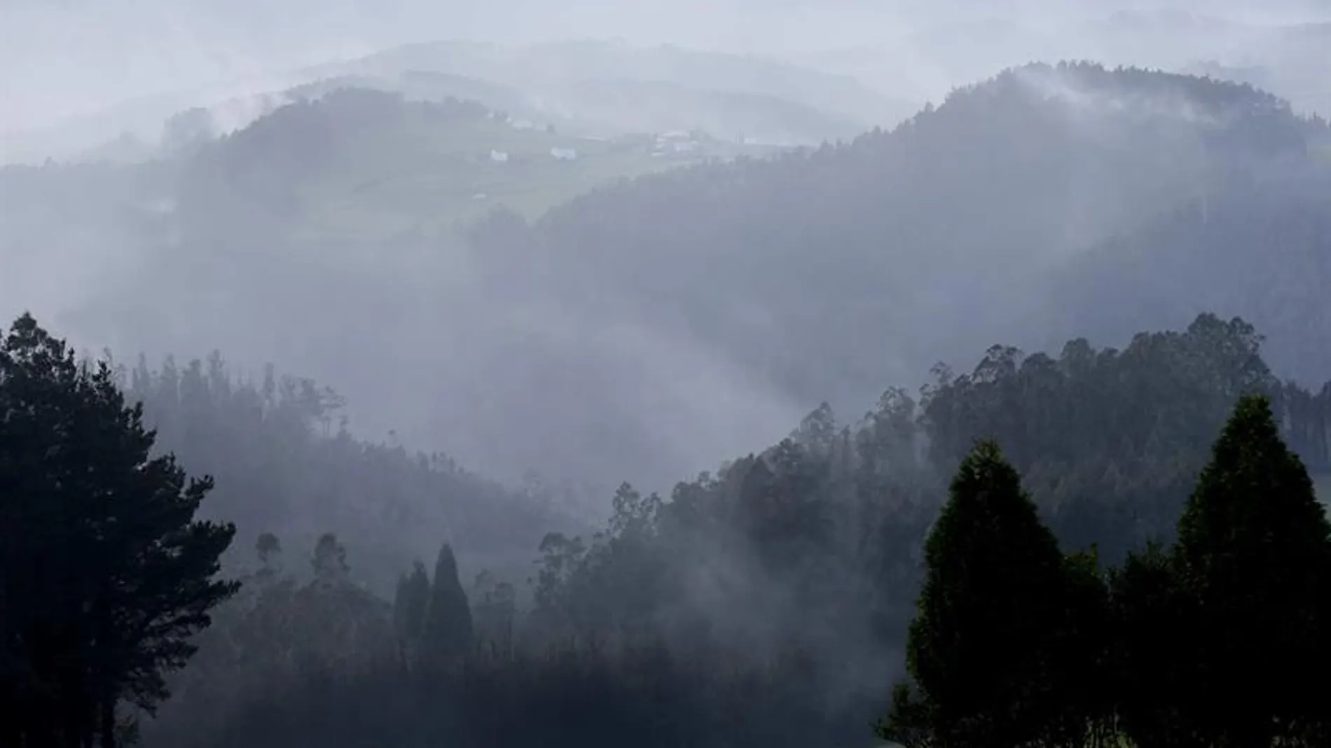 Incendios forestales Incendios forestales