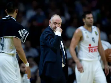 Pablo Laso, entrenador del Real Madrid Pablo Laso, entrenador del Real Madrid