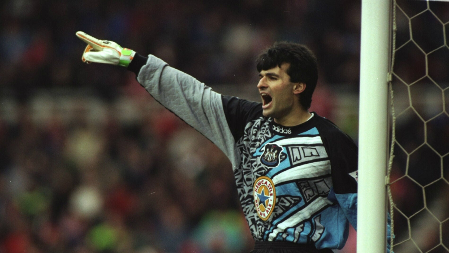 Pavel Srnicek, durante un partido con el Newcastle
