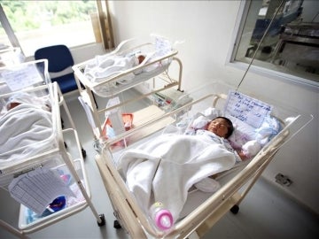 Imagen de varios bebés en el Hospital