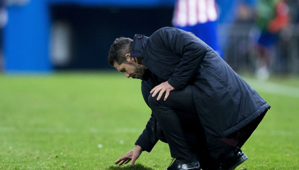 Simeone coloca el césped del Vicente Calderón