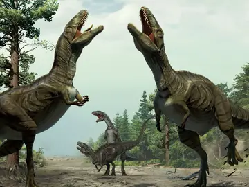Dinosaurios Dinosaurios