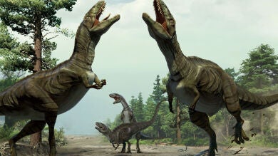 Descubren que un dinosaurio perdía los dientes según llegaba a la adultez y desarrollaba una mandíbula de pico