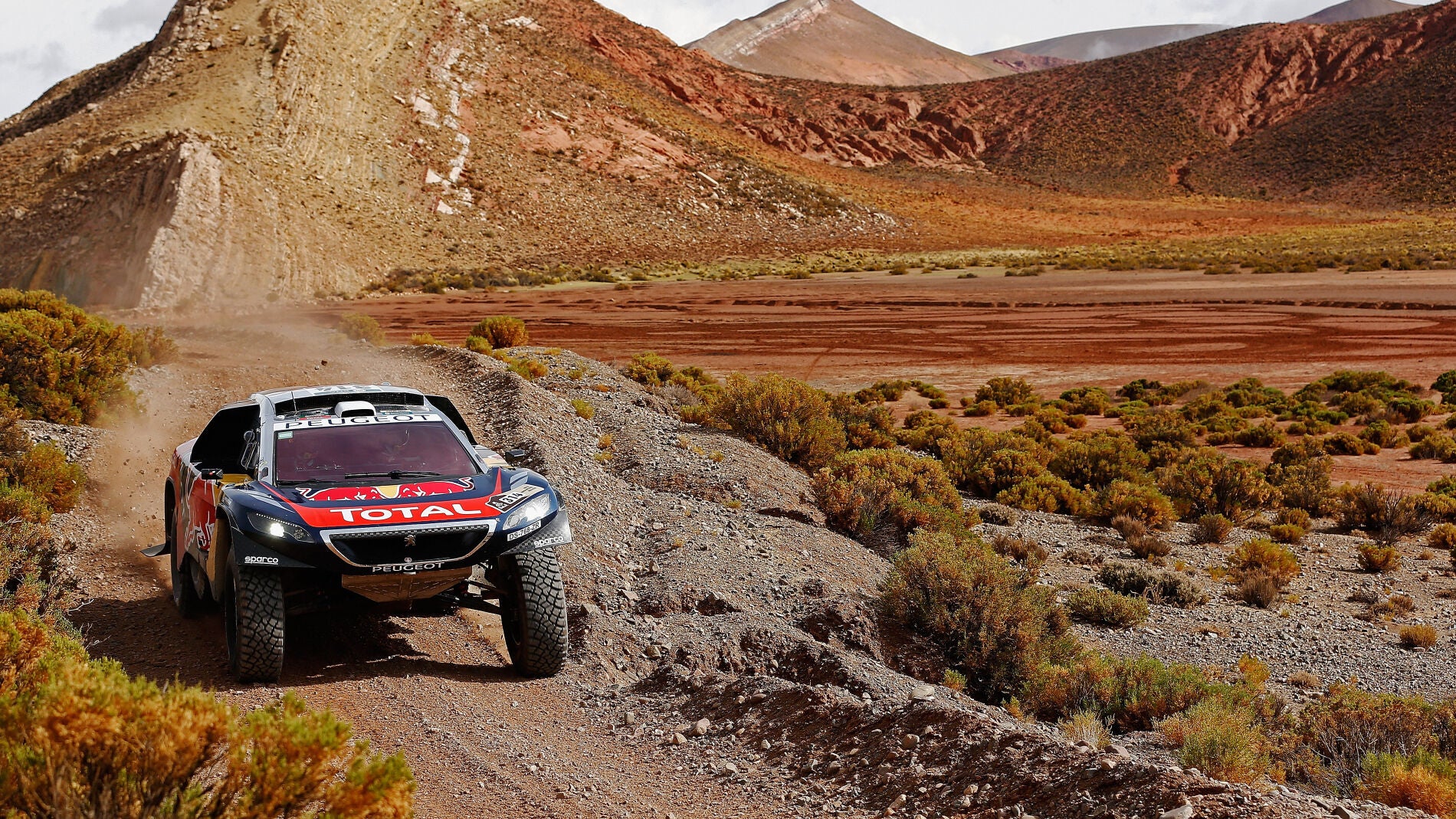 Sebastien Loeb a bordo de su Peugeot