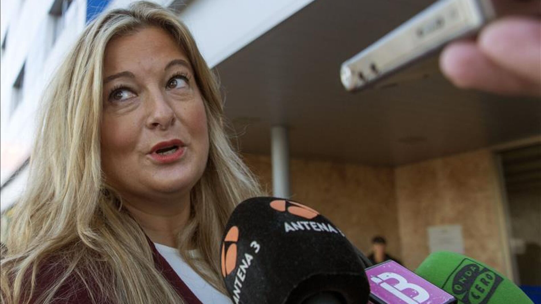 La abogada de Manos Limpias Virginia L&oacute;pez Negrete