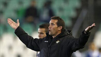 Merino: 