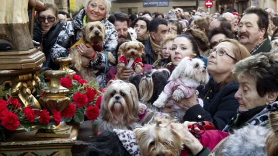 Decenas de animales en las fiestas de San Ant&oacute;n