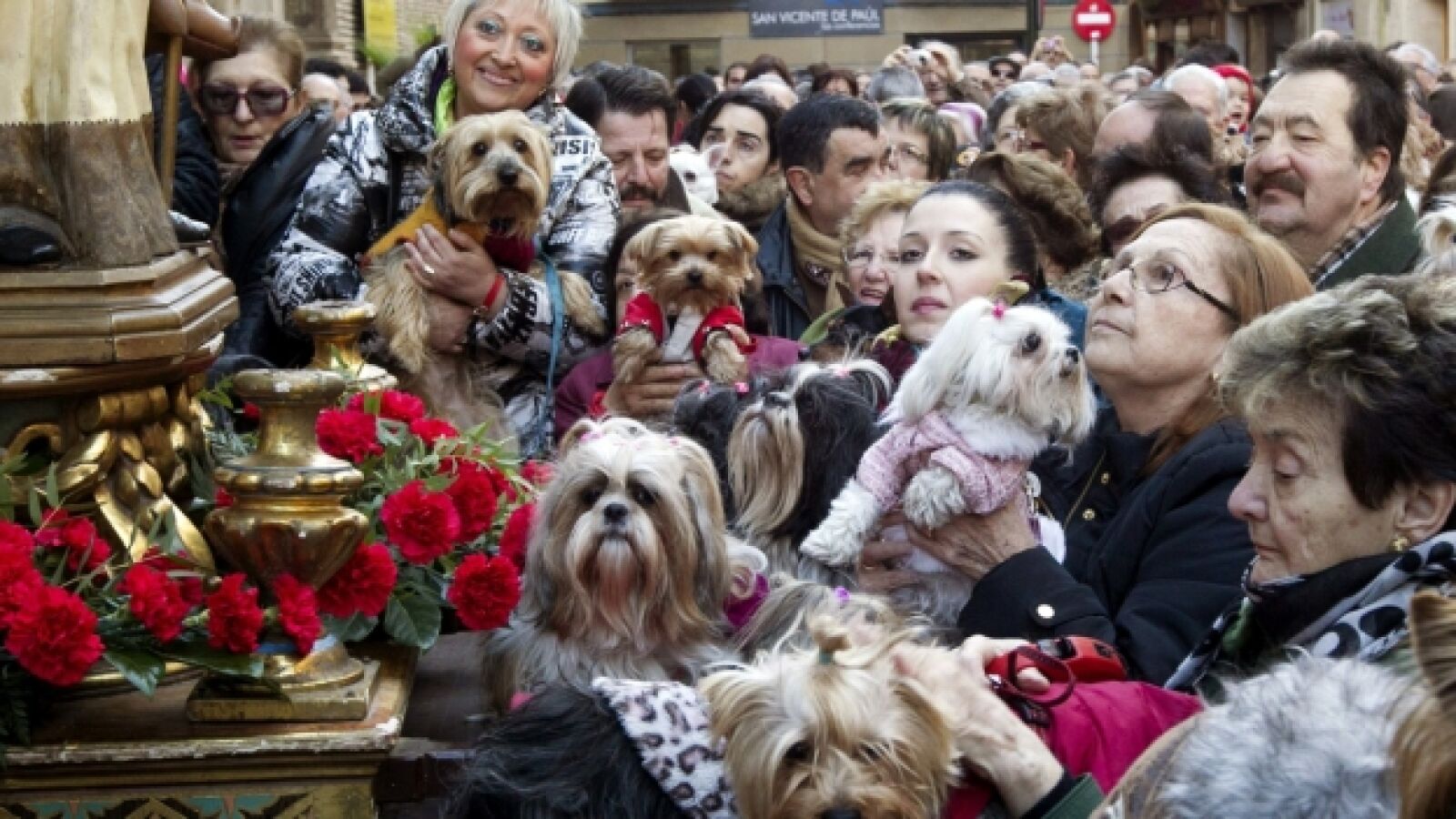 San Antón: ¿Qué se celebra y por qué es el patrón de los animales?