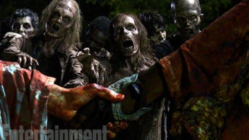 The Walking Dead