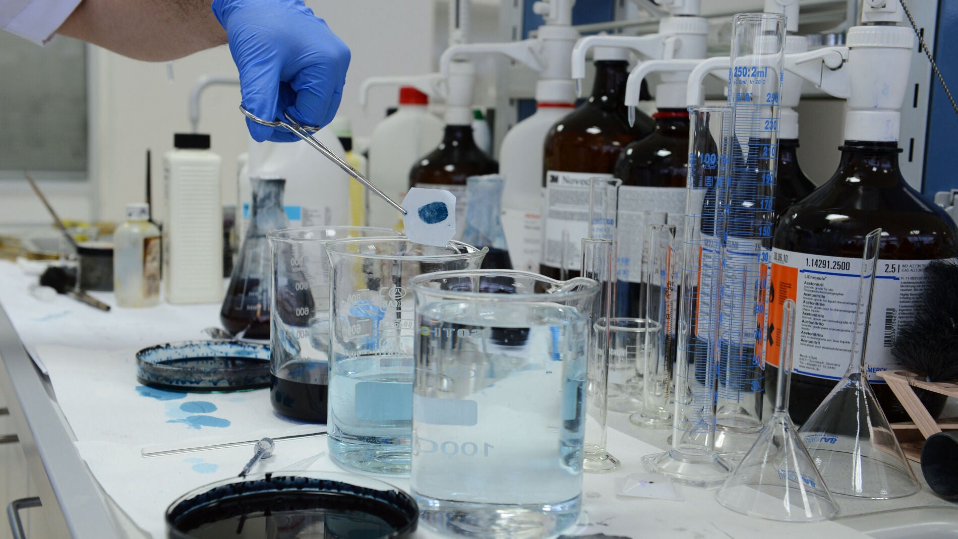 Los ratones mostraban un mes despu&eacute;s un mejor rendimiento de la memoria