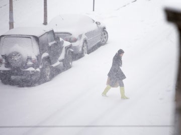 Tormenta de nieve en Chicago