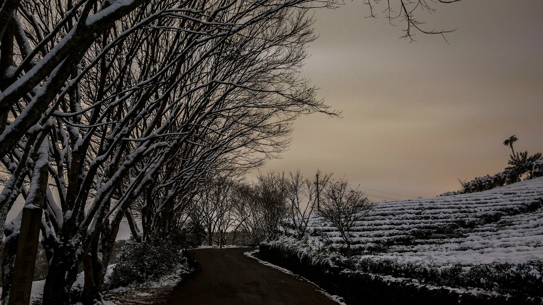 Unusual ola de frío que afecta a Taiwán Unusual ola de frío que afecta a Taiwán