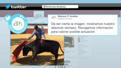 Alfonso Alonso cree que 