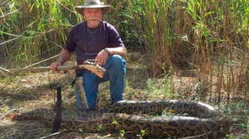 Cazador de pitón en Everglades