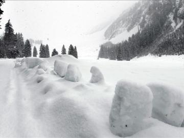 Avalancha en Canadá