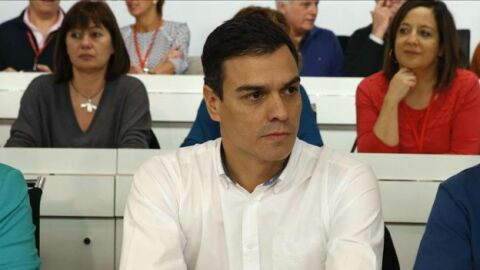 Pedro S&aacute;nchez, en el Comit&eacute; Federal del PSOE