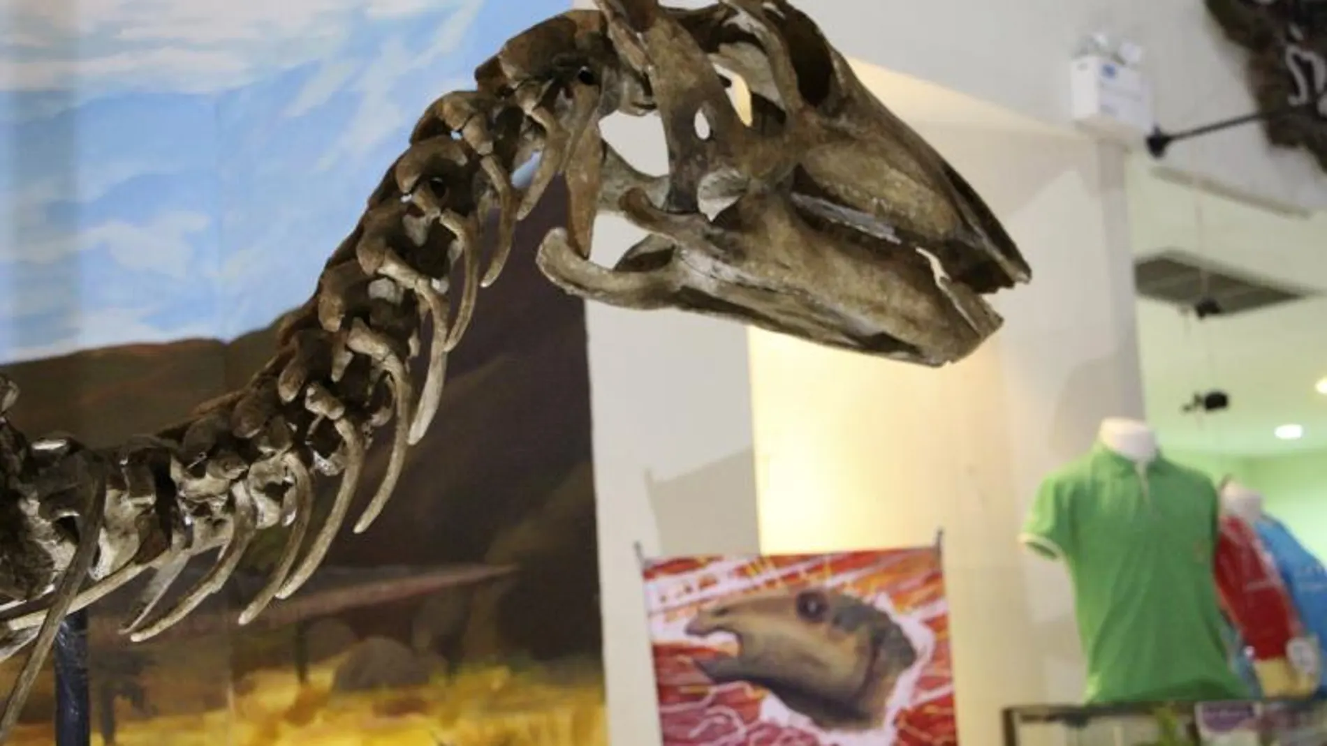 El nuevo dinosaurio se ha convertido en la pieza central del Museo de Fósiles de Khorat El nuevo dinosaurio se ha convertido en la pieza central del Museo de Fósiles de Khorat