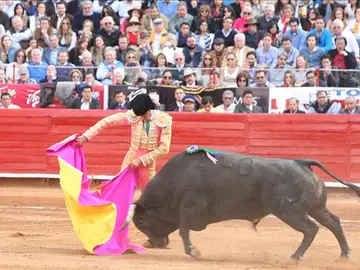 José Tomás en México José Tomás en México