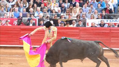 El regreso de José Tomás a 'La México' se queda en acontecimiento extraordinario