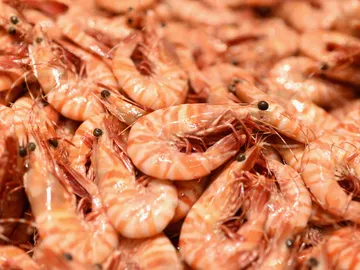 Gambas Gambas