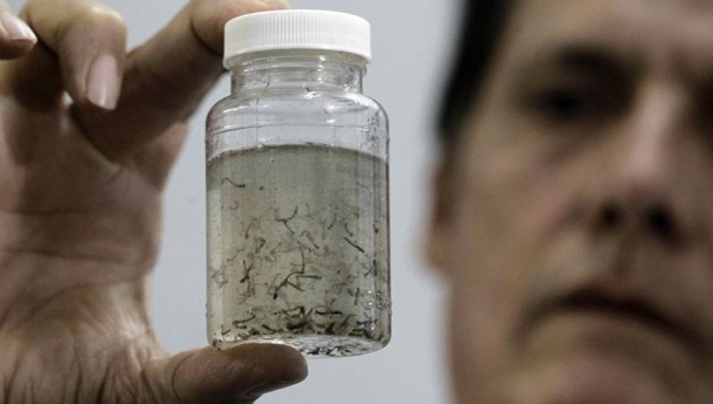 Análisis del virus Zika