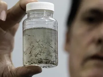 Análisis del virus Zika Análisis del virus Zika