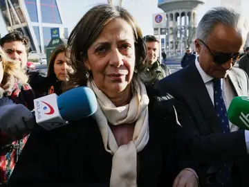 La tesorera del PP, Carmen Navarro, llegando a los Juzgados de Plaza de Castilla La tesorera del PP, Carmen Navarro, llegando a los Juzgados de Plaza de Castilla