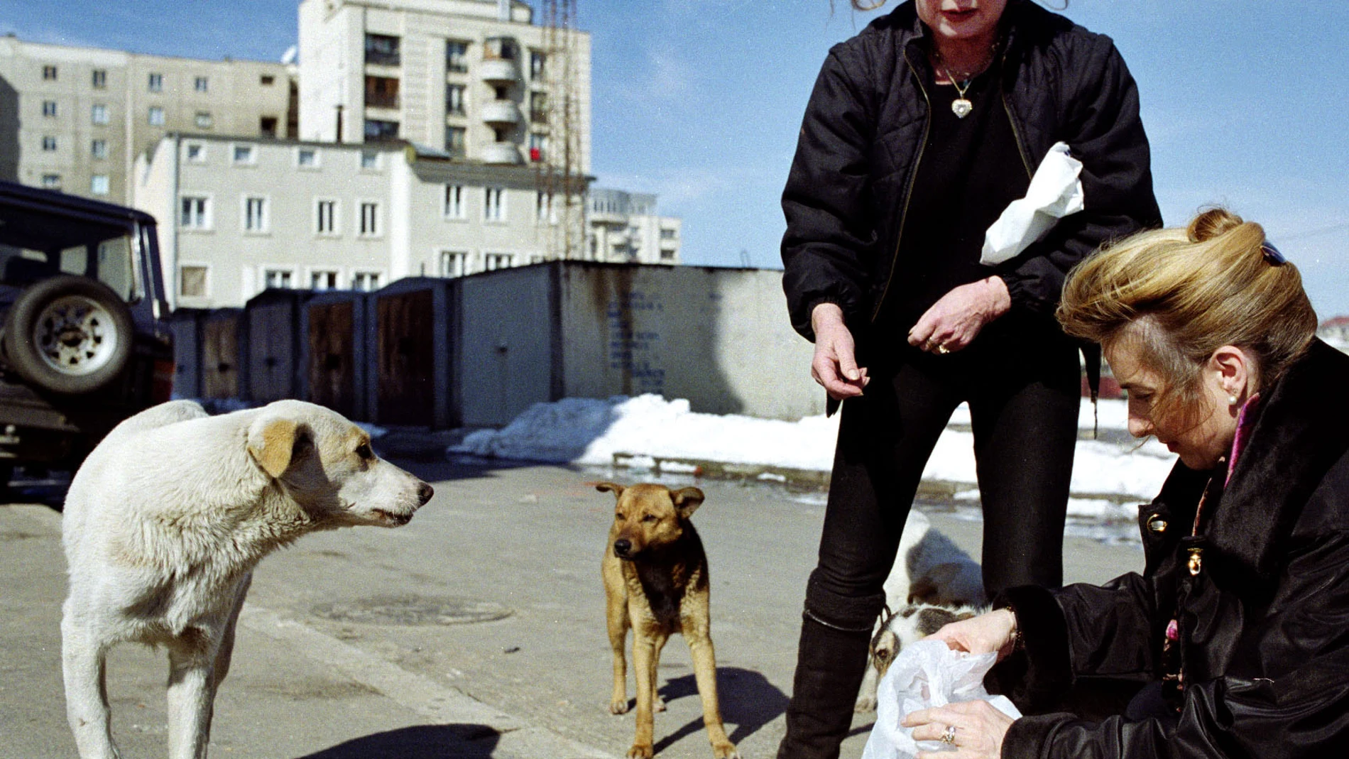 La actriz francesa se ha involucrado en causas relacionadas con los animales La actriz francesa se ha involucrado en causas relacionadas con los animales