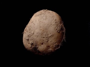 'Potato #345 (2010)' del artista Kevin Abosch