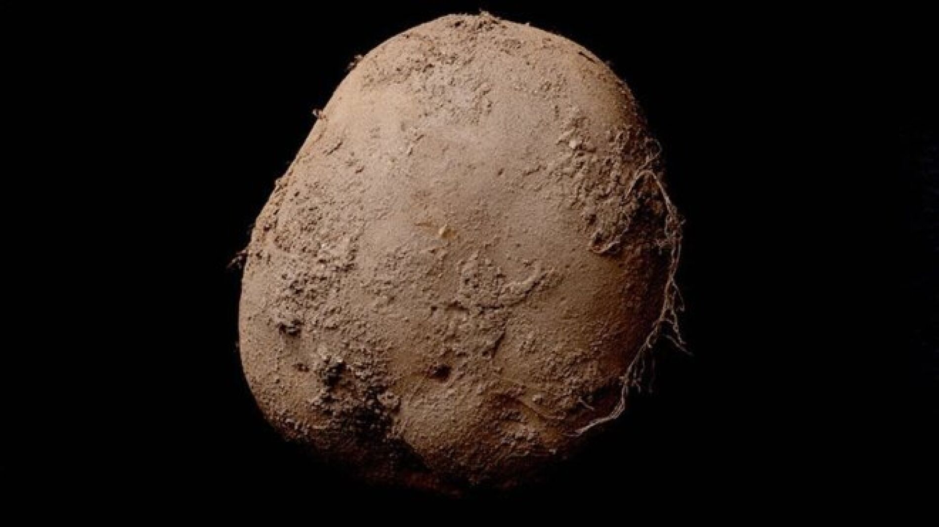 'Potato #345 (2010)' del artista Kevin Abosch