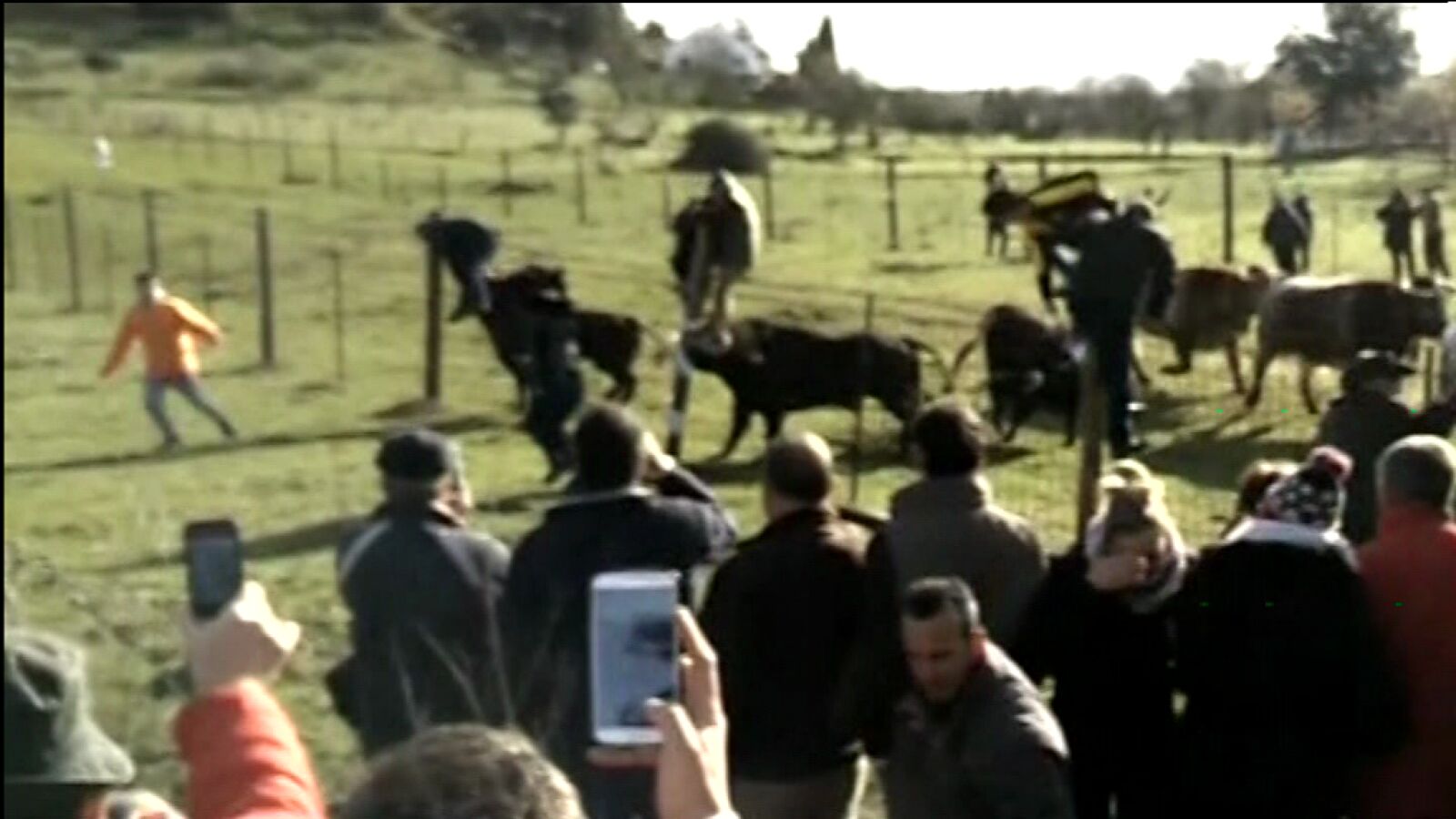Un padre y un hijo resultan heridos de gravedad al ser corneados por un toro en Ciudad Rodrigo