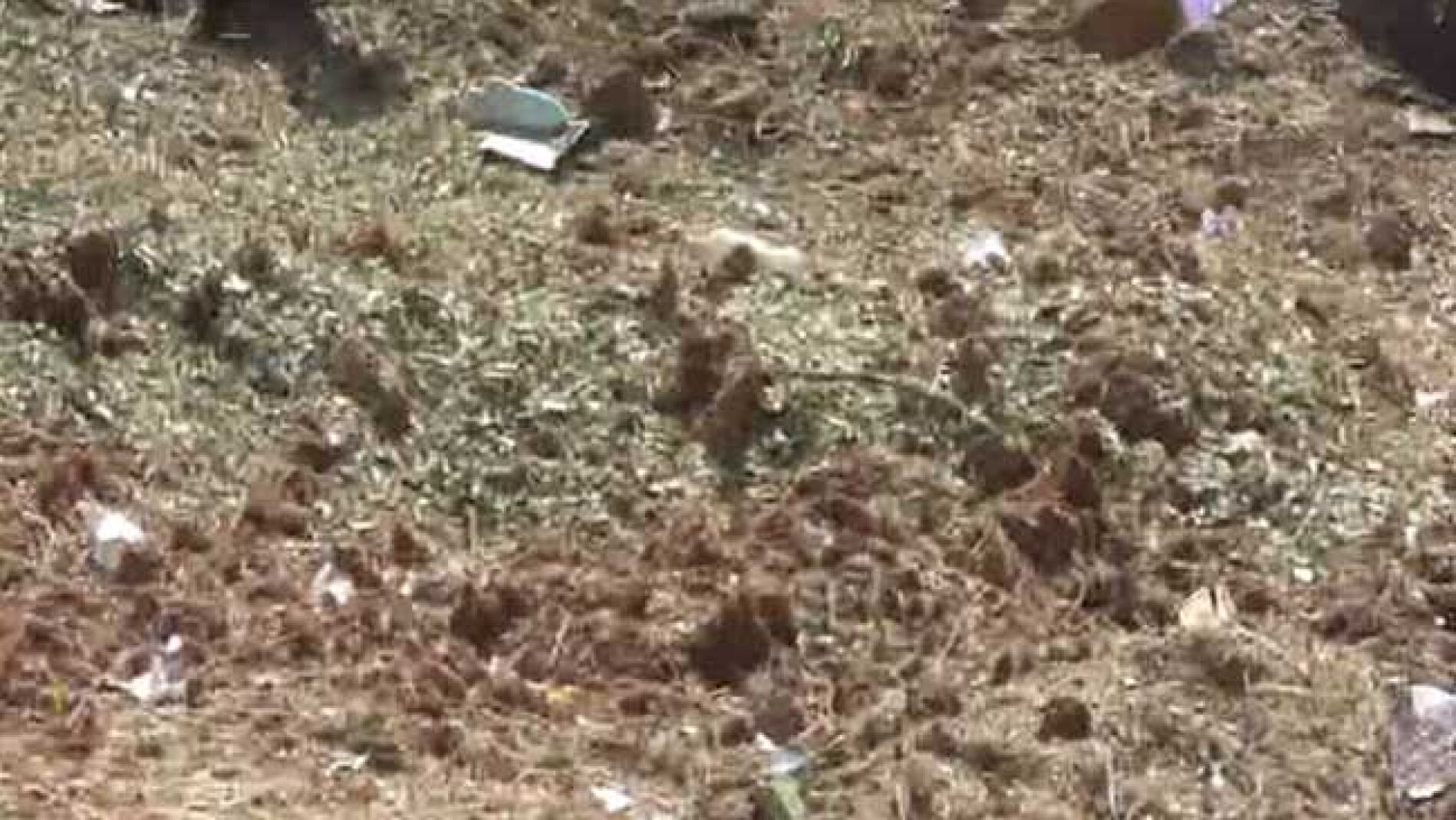 Lugar de la explosi&oacute;n