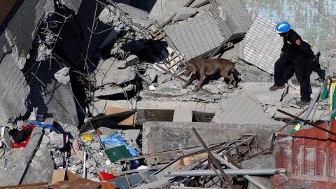 Equipos de rescate buscan personas entre los escombros