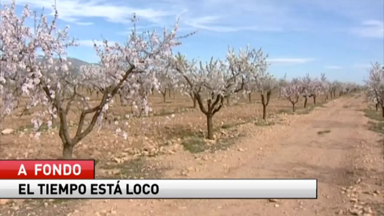 El invierno llega tarde para muchas especies