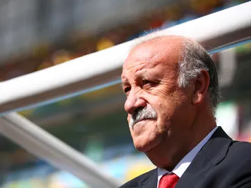 Del Bosque, el técnico de la selección española Del Bosque, el técnico de la selección española