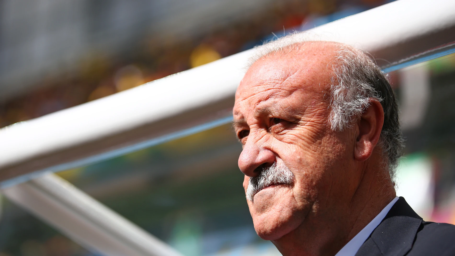 Del Bosque, el técnico de la selección española Del Bosque, el técnico de la selección española