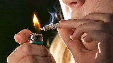 Estudio sobre el consumo de marihuana