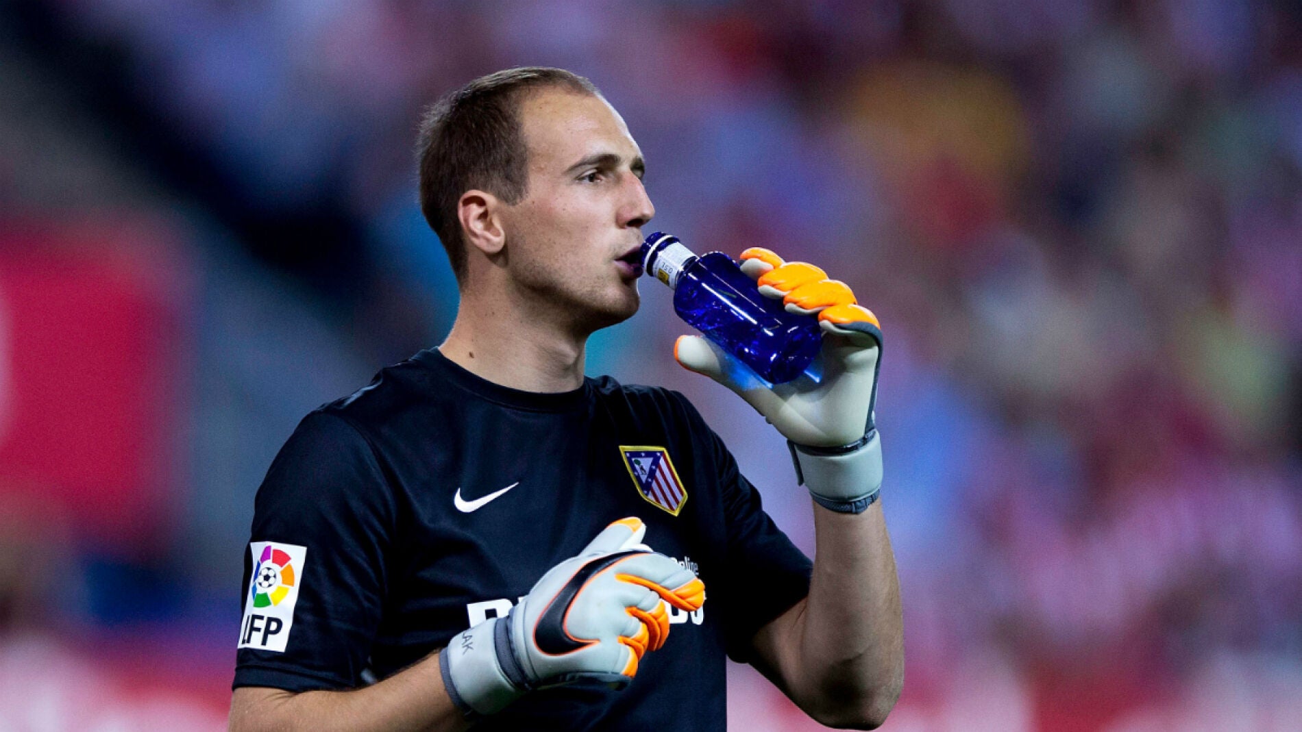 Oblak bebe agua