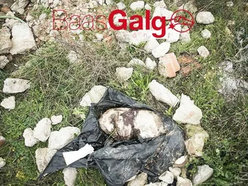 El animal fue encontrado dentro de un saco de basura El animal fue encontrado dentro de un saco de basura