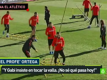 Profe Ortega Profe Ortega