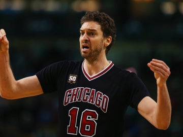 Gasol, en un partido con los Bulls