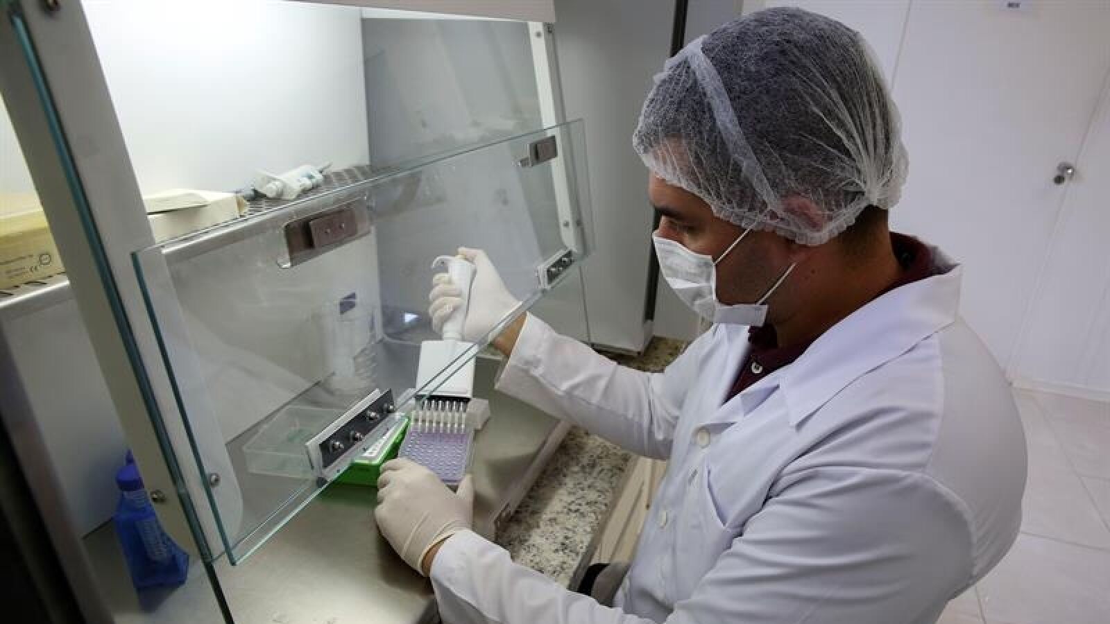 Florida confirma cuatro nuevos casos de Zika que 