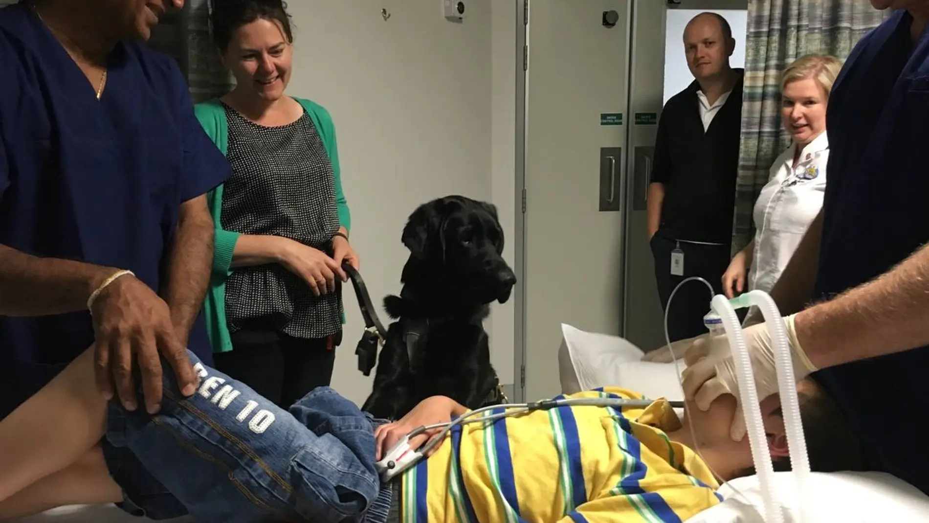 El hospital permitió que Mahe acompañara a su dueño El hospital permitió que Mahe acompañara a su dueño
