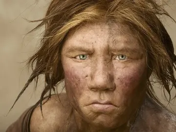 Neandertal Neandertal