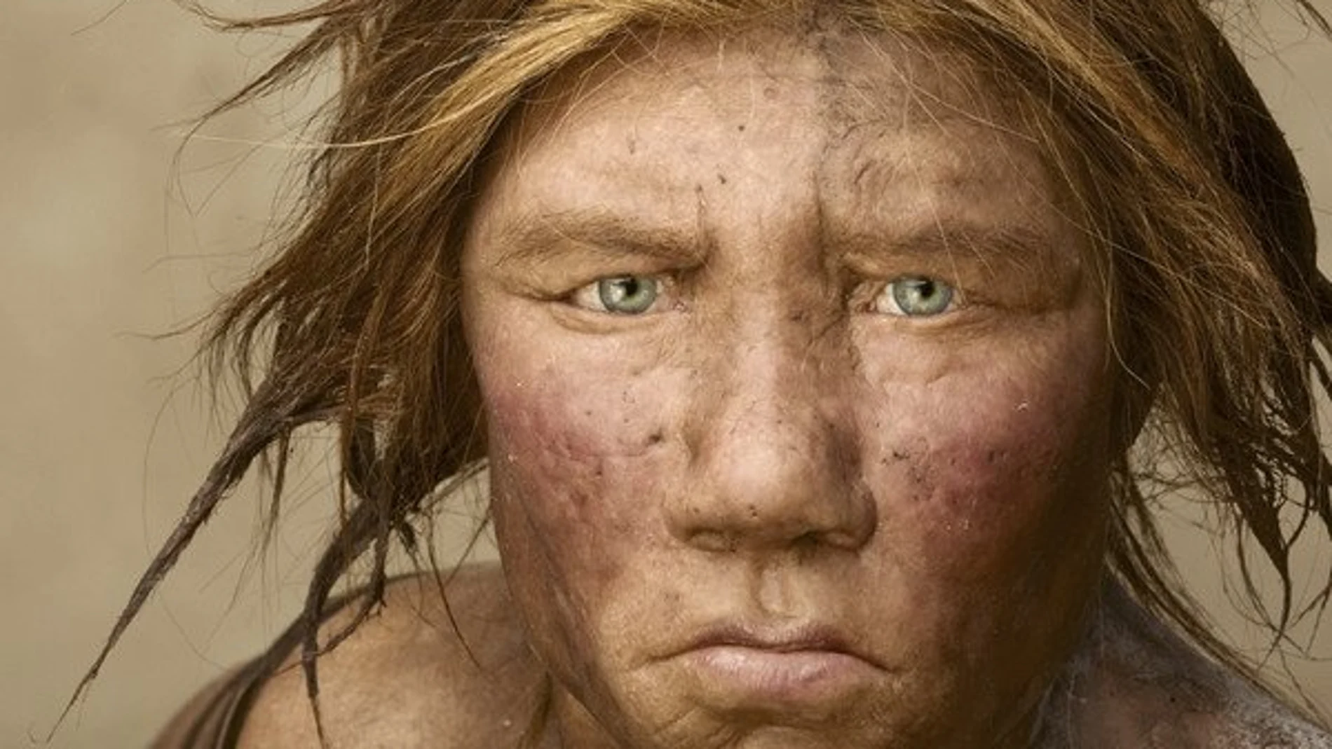 Neandertal Neandertal