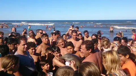Un delfín aparece en la costa de Buenos Aires Un delfín aparece en la costa de Buenos Aires